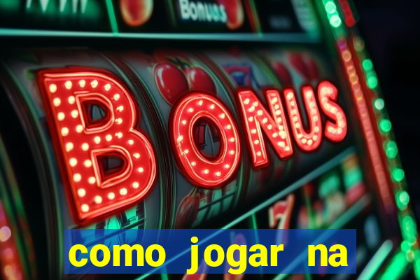 como jogar na lotinha do jogo do bicho